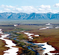 Pengertian Bioma Tundra