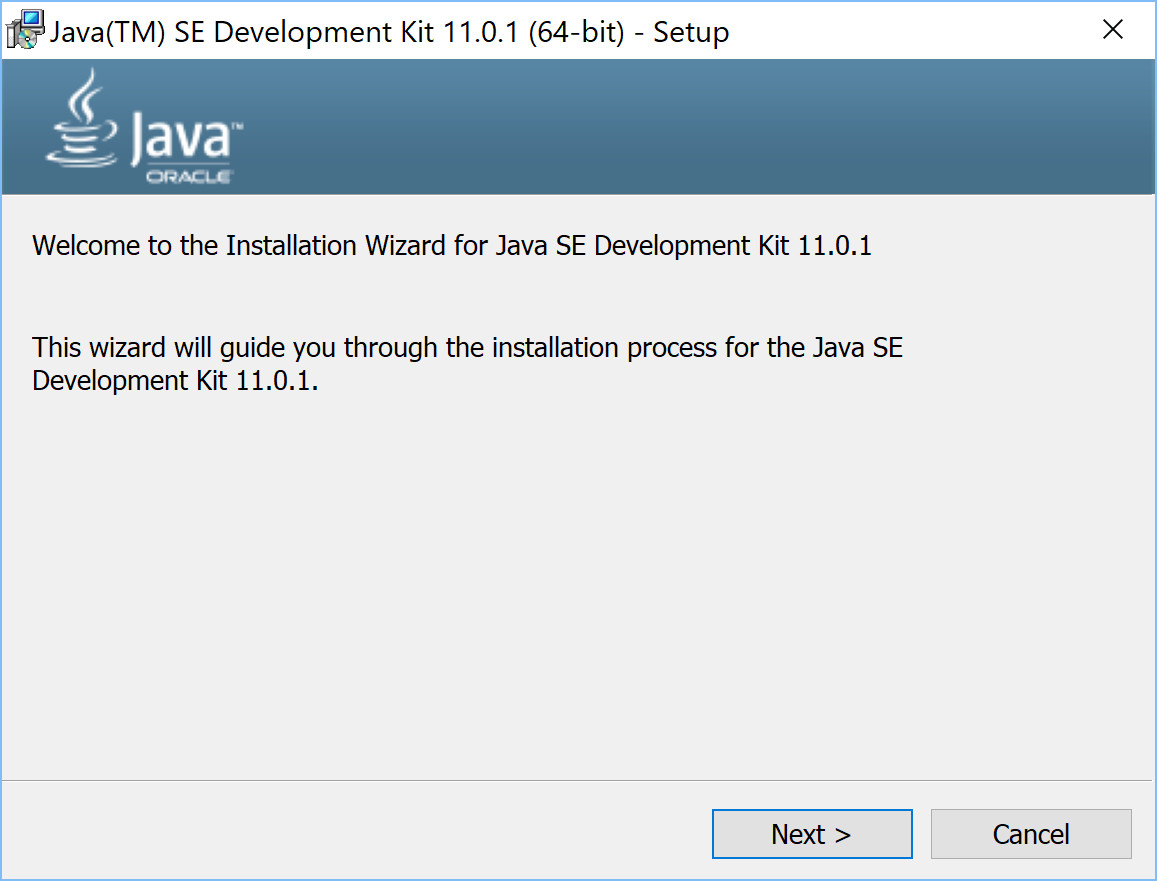 How to install Java JDK 11 on Windows 10 - Learning to ...