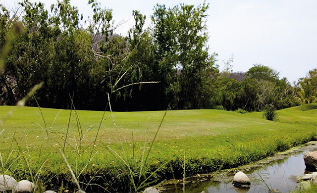 Salinas Pliego se queda sin campo de golf: AMLO decreta Parque Nacional Tangolunda