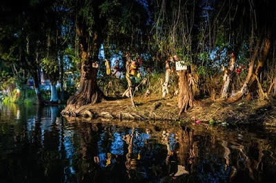 Haunted Forest In Hindi,haunted forest,hoia baciu forest,creepy forest,scary forest