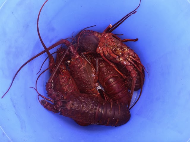 P1010565