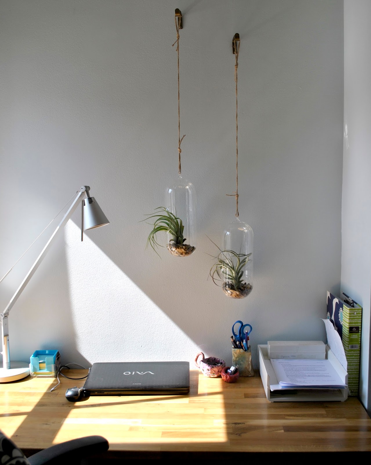 forty-two roads: Desk Air Plants