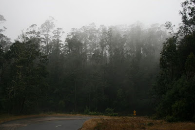 Misty Mountains Tasmania Australia