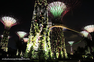 gardens by the bay singapore