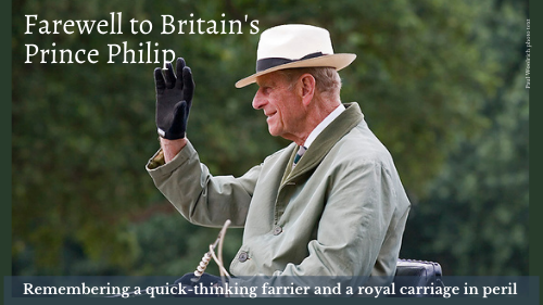 Prince Philip's brush with danger at the 2013 Royal Windsor Horse Show has almost been forgotten but it could have ended quite differently. A quick-thinking farrier was the hero that day.