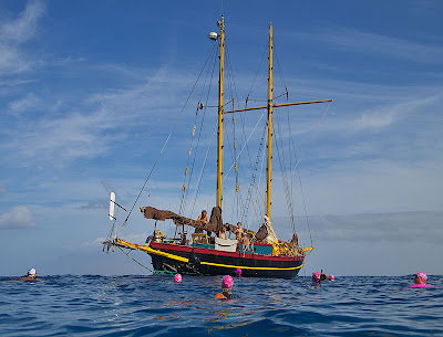 Click HERE for more photos from this morning's ocean swim