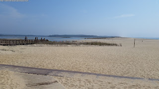 BEACH / Praia da Costa de Santo André, Santiago do Cacém, Portugal