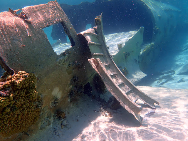 snorkeling Pablo Escobar's plane