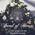 Band of Horses - No One's Gonna Love You (Stockholm Version) - Single [iTunes Plus AAC M4A]