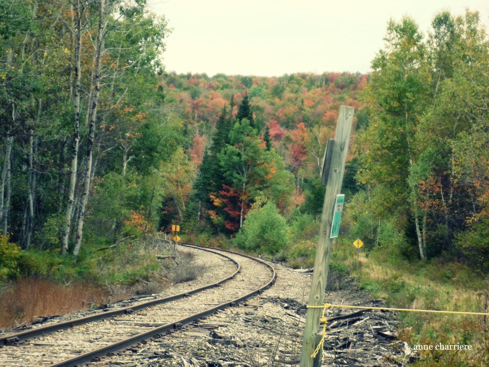 annecharriere.com, fall foliage, leaf color,