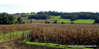 View from the Sprouyls farm in Chalosse