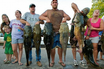 Okie Noodling Tournament Seen On www.coolpicturegallery.net