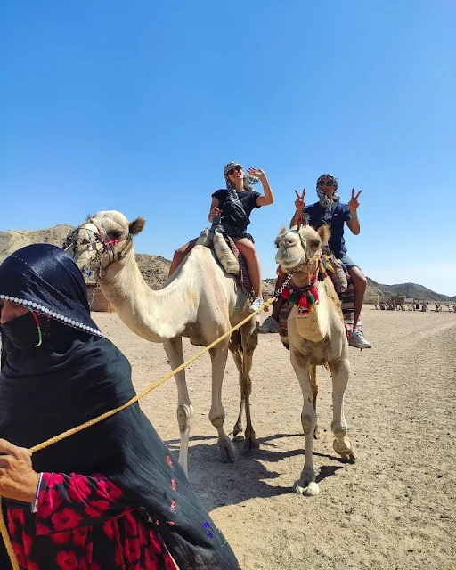desert safari or camel ride to explore the surrounding landscape