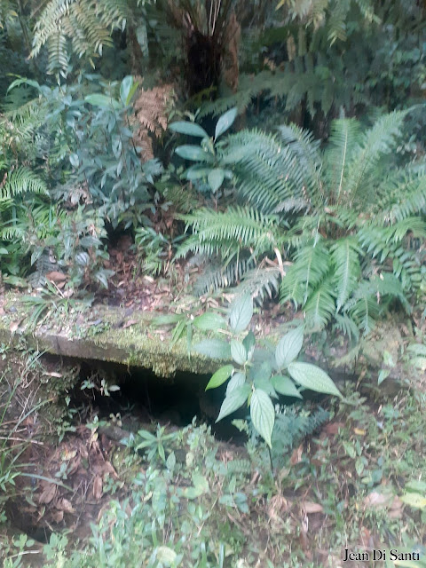 Estrutura no caminho da Cachoeira Do Afluente Do Rio Curralinho ou “Cachoeira Secreta Do Itupava”