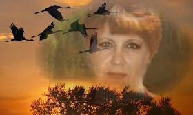 Я в этом мире не случайно