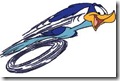 RoadRunner - Runs with Joy