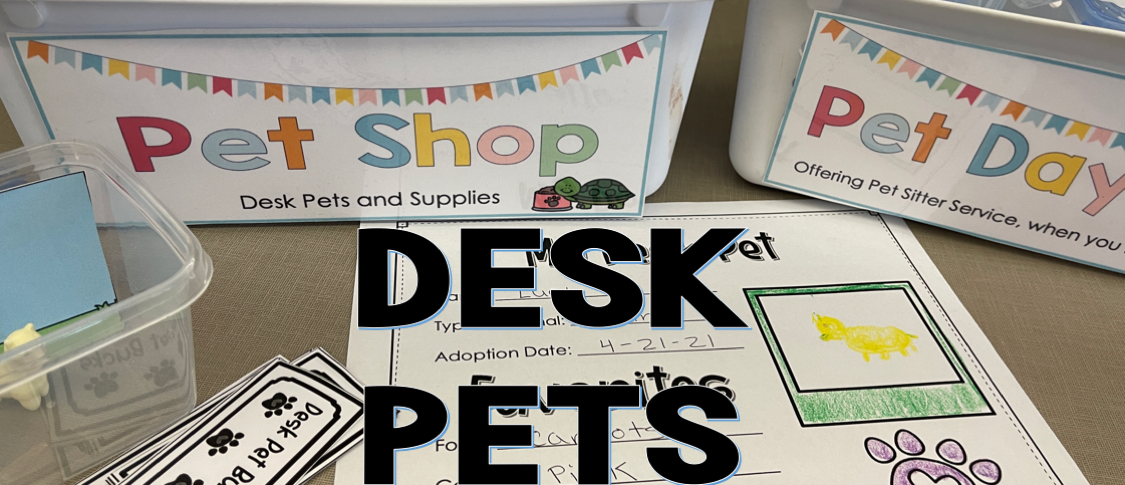 Desk Pets  A Great Classroom Motivator for Positive Student
