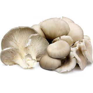 Mushroom spawn supplier in Satara