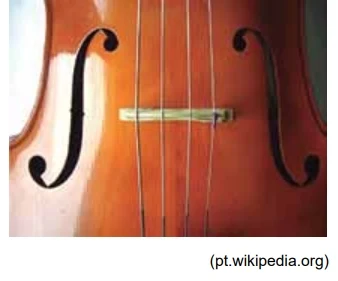 Detalhes das cordas de um violoncelo