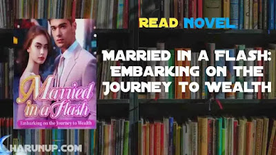 Married in a Flash Embarking on the Journey to Wealth Novel