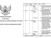 Telah Dibuka Seleksi CPNS 2017 Formasi Umum Bulan Oktober 2017