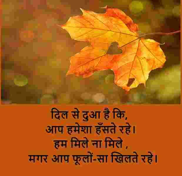 latest dil shayari images, latest dil shayari images collection