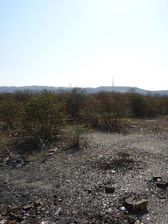 A photo of the ground outside the ruins of the building at Caldwell's Paper Mill.  There is a lot of broken glass on the ground and it glitters in the afternoon sunshine.