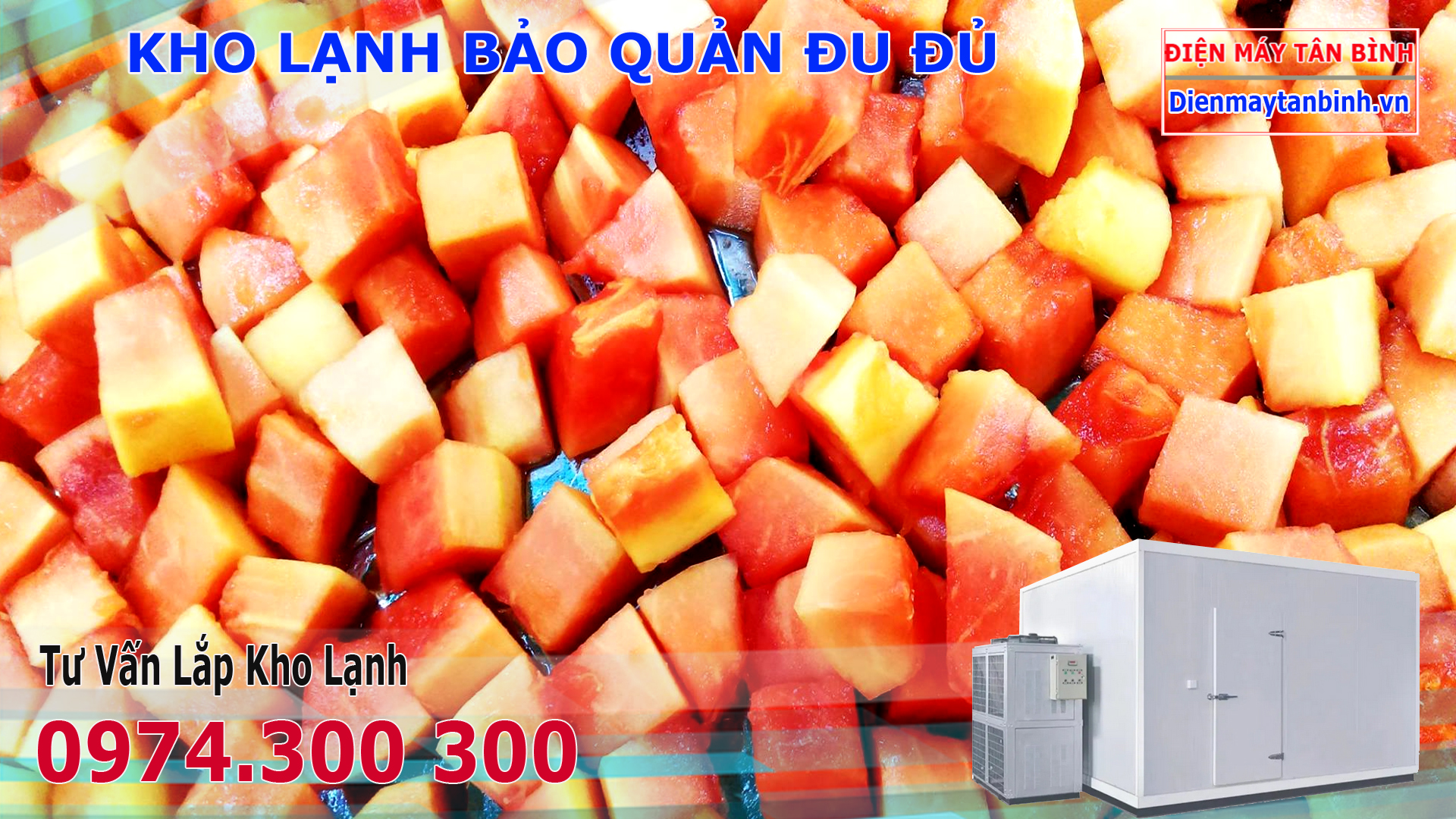 đu đủ đông lạnh xuất khẩu đu đủ đông lạnh xuất khẩu