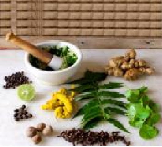 Herba & Tumbuhan: Perubatan Tradisional India