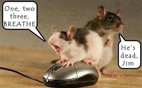 mouse doing CPR on mouse