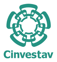 http://www.cinvestav.mx/