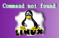 Command not found - Set environment variables Linux