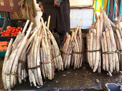 Maqbool Hussain: The King of Lotus Stem Business in Kashmir gives global touch to Nadru