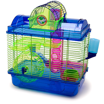 Hamster - Haft: Kebutuhan Hidup Hamster