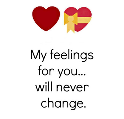 My feelings for you will never change