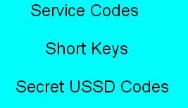 बीएसएनएल के यूएसएसडी कोड्स BSNL ke USSD Codes