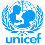 Child Protection Assistant at UNICEF/ UN Volunteer
