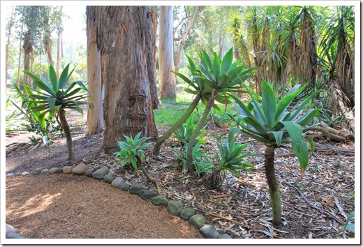 130403_Lotusland_423