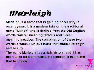 meaning of the name "Marleigh"