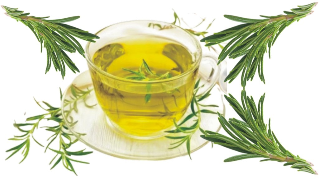 Health Benefits of Rosemary | Benefits of Rosemary