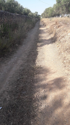 Tarragona a Cambrils seguint el GR-92, camí entre Constantí i La Canonja