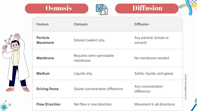 Difference Between Osmosis and Diffusion with Examples