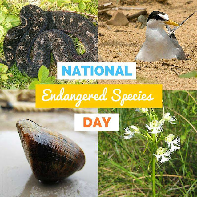 National Endangered Species Day Wishes Pics