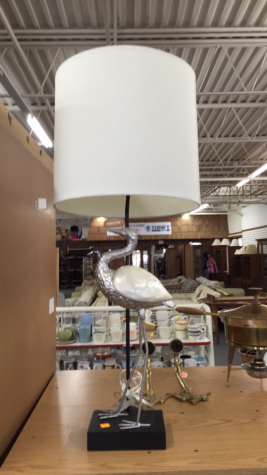 General Splendour Im Blaming It All On The Thrift Store Lamp