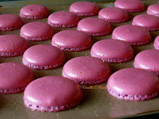 Macaron ganache myrtille