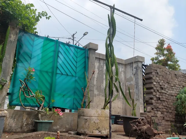 Cara Mencegah Datangnya Ular ke Kebun