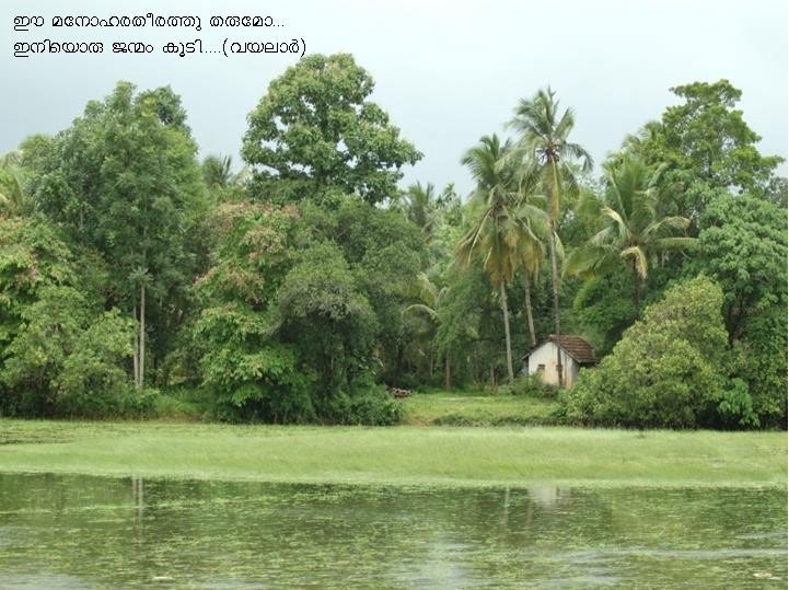 SCENERY IN KERALA AFTER THE RAIN: FORWARDED BY SR. ELSIE BABY