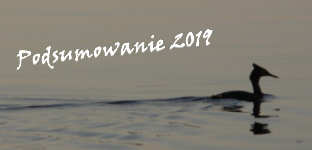 Podsumowanie 2019