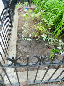 Leslieville Toronto Summer Front Garden Cleanup After by Paul Jung Gardening Services--a Toronto Gardening Services Company