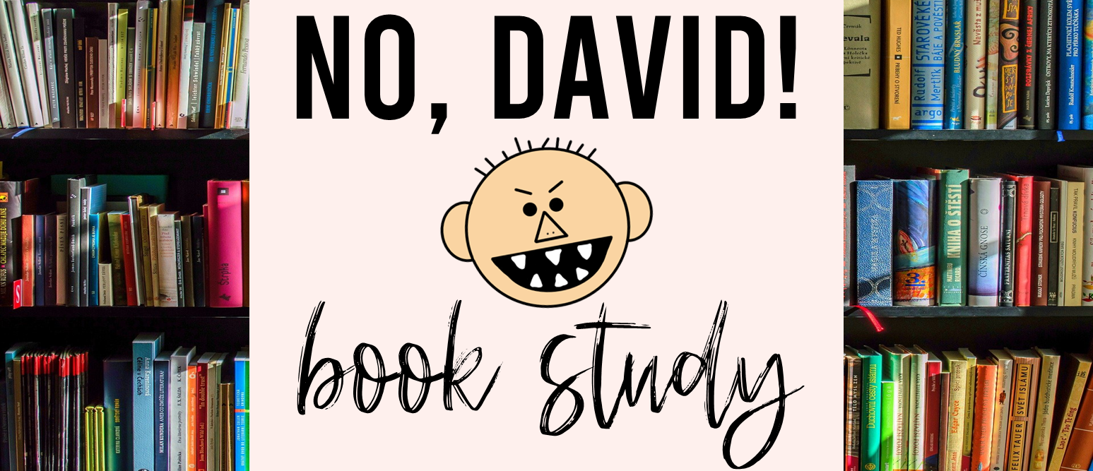 No David book activities unit with literacy companion activities and a craftivity for Kindergarten and First Grade